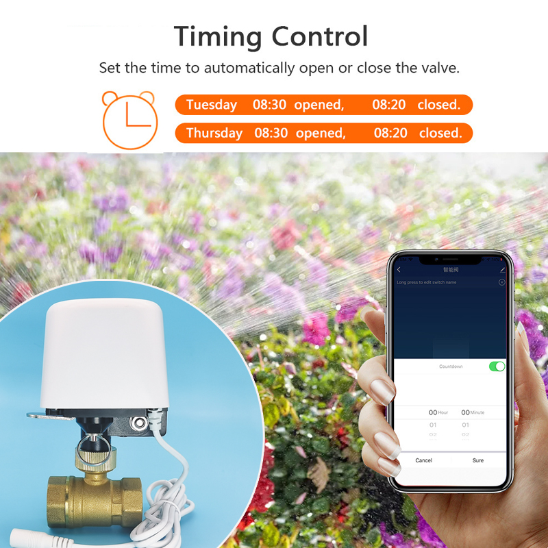 صمام مياه ذكي 1/2 بوصة 3/4 بوص - مراجعة Home Assistant Tuya وسعره